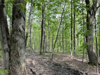 9543 Cream Ridge Rd, Farmersville Station, NY 14060