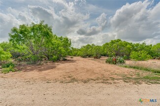 551 PR Mia Ln, Floresville, TX 78114
