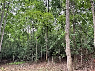 Lot 60 Timbercrest Ln, Murphy, NC 28906