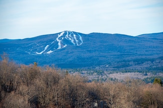 69 Benson Fuller Dr Unit 29, Winhall, VT 05340