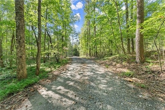 0 Cleve Wright Rd Unit 7647784, Dawsonville, GA 30534