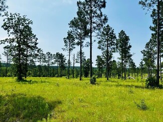 Lot 46 Covert Dr, Aiken, SC 29803