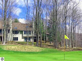 7538 Mountain Side Dr Unit 601, Thompsonville, MI 49683