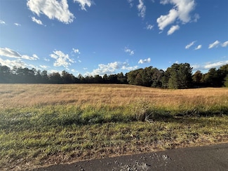 Lot 16 Canyon Run Rd, Lewisburg, KY 42256