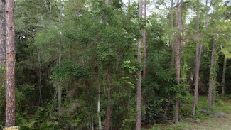 7200 Norway St, Webster, FL 33597