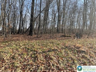 81 Shepherds Hill Dr Unit lot 9, Upper Mount Bethel, PA 18343