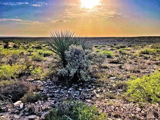 000 Hargrove Winters Rd Unit Lone Spur Canyon Ran, Langtry, TX 78837
