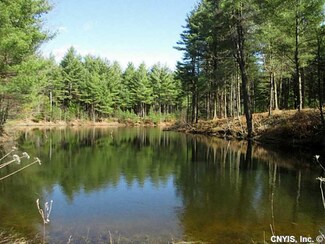 25 Triangle Pond Rd, Gouverneur, NY 13642