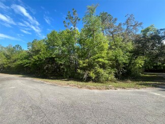 0 Guava Pass Ct Unit MFROK225039, Ocklawaha, FL 32179