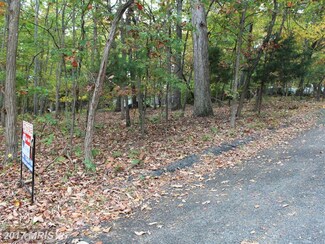 15797 Hickory Ln, Haymarket, VA 20169