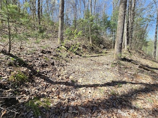 00 Riverside Dr Unit 33/34, Whittier, NC 28789