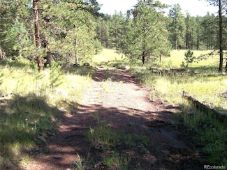 3032-3 County Road 12, Florissant, CO 80816