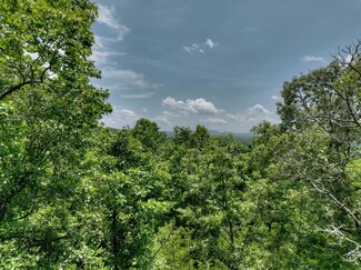 LT C Dillons Ridge Rd, Morganton, GA 30560