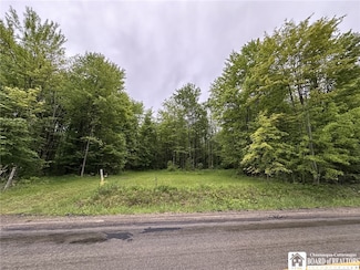 0 Donelson Rd Unit R1590146, Jamestown, NY 14701