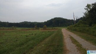 0 Henderson Lake Rd Unit 827631, Munford, AL 36268