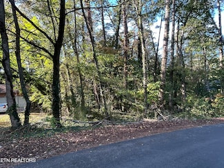 218 Oostanali Way, Loudon, TN 37774