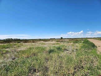 00 Ellingwood Place, Alamosa, CO 81101