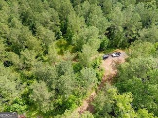 0 Wilson Rd Unit 10638319, Temple, GA 30179