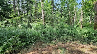 0 xxxb S Dove Dr, Camano, WA 98282