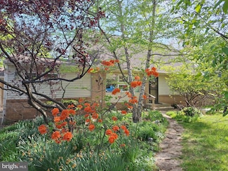 430 Marion Ave, Ambler, PA 19002