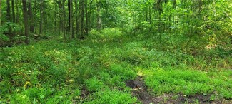 0 Township Road 399 Unit 4471059, Coshocton, OH 43812