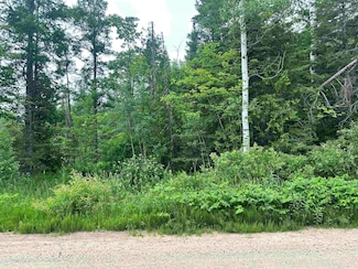 TBD Deerton Onota Rd, Deerton, MI 49822
