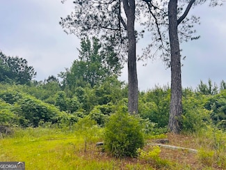 2485 Mitchellville Rd, Ohatchee, AL 36271