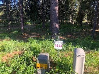 45 Panther Meadow Dr, McCloud, CA 96057