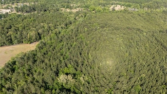 5 Acres Wasp Loop, Williston, SC 29853