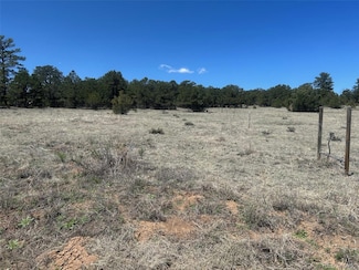 0 35th Trail, Cotopaxi, CO 81223