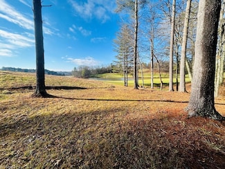 TBD Manor House Dr, Laurel Fork, VA 24352