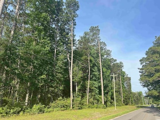 TBD Roscoe Rd, Socastee, SC 29588