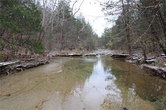 0 Mineral Ln, Randolph Township, MO 63601