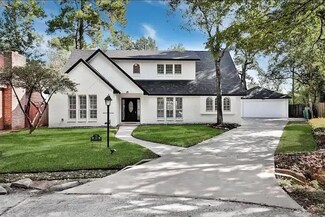 26 Rambling Wood Ct, Spring, TX 77380