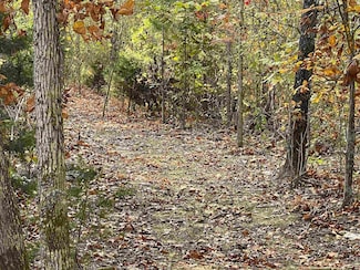 TBD Lower Janes Creek Rd, Ravenden Springs, AR 72460