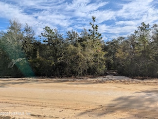 2090-0060 S West 60th Ave, Interlachen, FL 32148