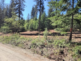 TBD Columbia Dr, Kettle Falls, WA 99141