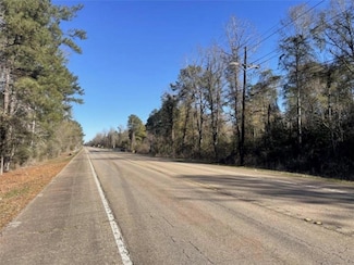 20 Acres Hwy 51 None, Fluker, LA 70436