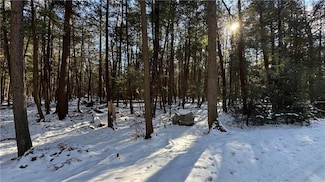 0 Tree Tops Dr, Kidder Township, PA 18661