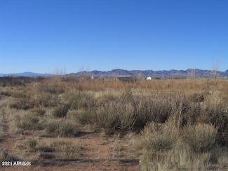 169 W Camino Amistad Dr Unit 169, Willcox, AZ 85643