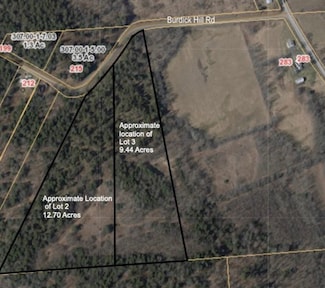 Lot 2 Burdick Hill Rd, Otego, NY 13825
