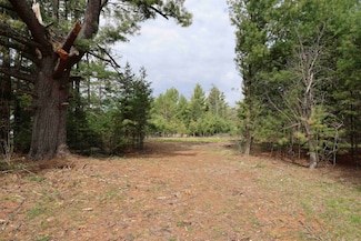 606 E Brook St, Suring, WI 54174