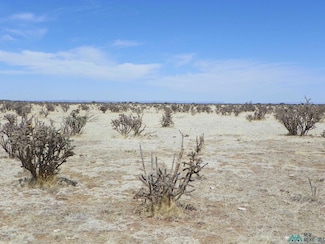 0000 Pecos, Santa Rosa, NM 88435