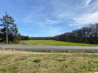 3260 Cherry Tree Rd, New Hope, AL 35760