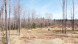 5243 Forest Rd, South Range, WI 54874