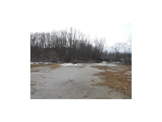 1142 Newton St, Akron, OH 44305