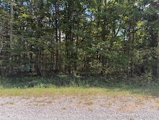 4021 Tonto Dr, Lake Tansi, TN 38572