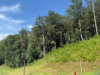 LOT 80 Boat House Dr, Guntersville, AL 35976