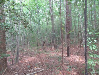 73-7-7A Warf Ln, Dinwiddie, VA 23830
