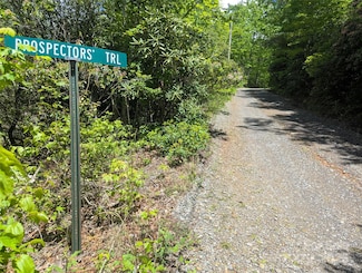 99999 Prospectors Trail, Black Mountain, NC 28711
